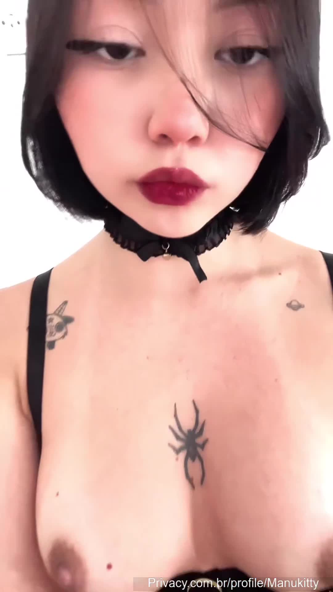 Video 944247 from manukitty / _manug2