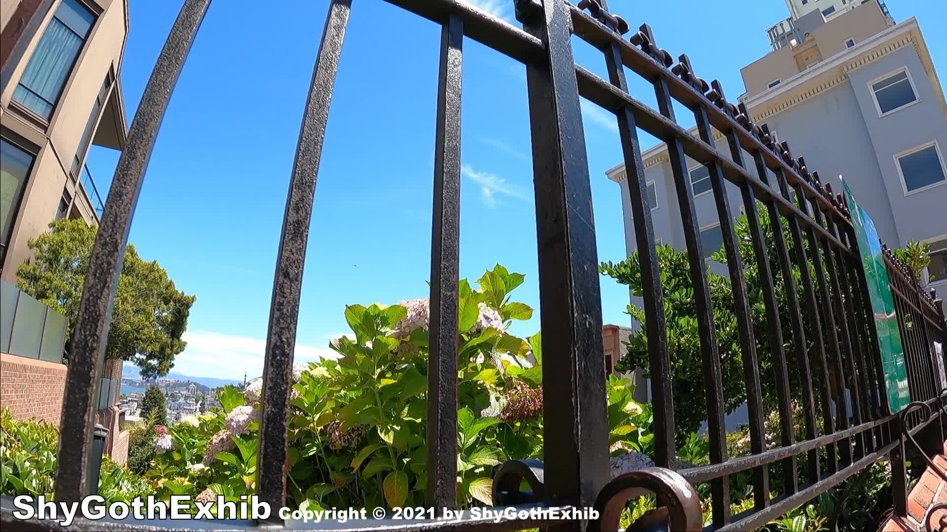 Video 950232 from ShyGothExhib | ShyGothSecrets