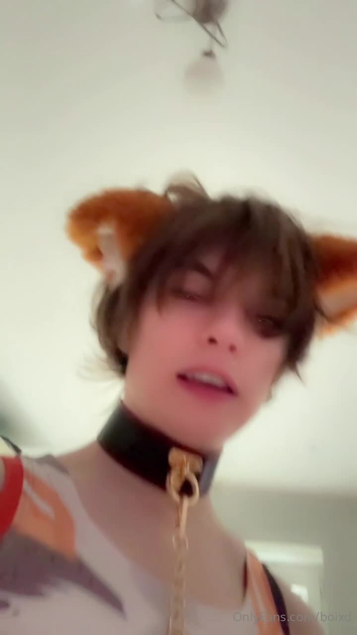 Video 950363 from femboixd/kittyboitrap