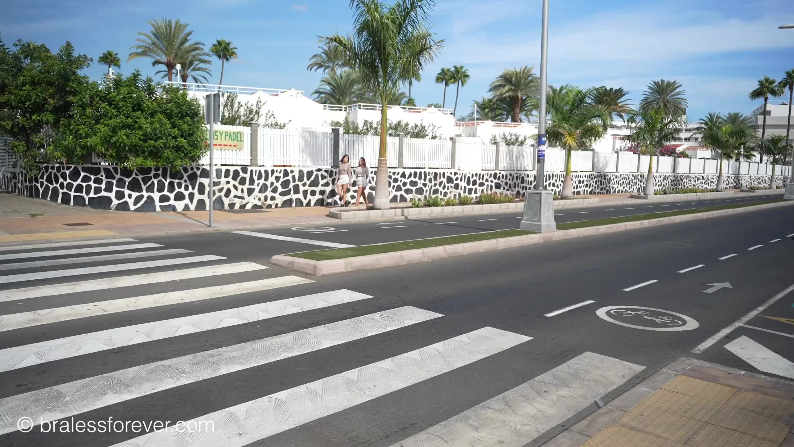 Video 955103 from Bitchinbubba / bralessforever