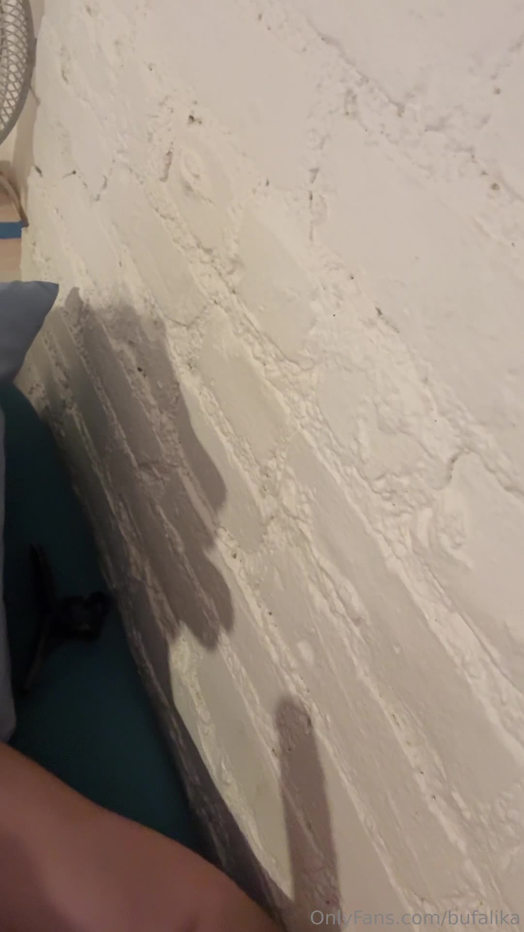 Video 959305 from Ika D'Auria | bufalika | ika_dauria