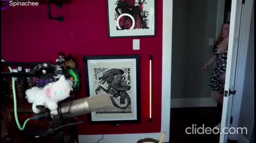 Video 1019708 from Spinachee