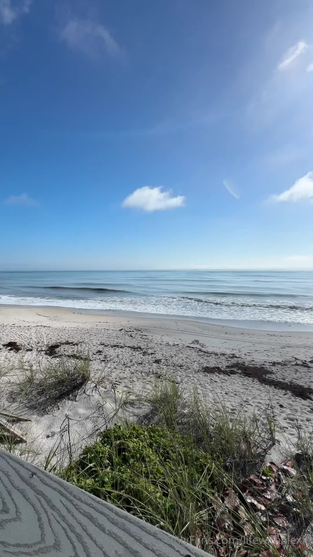 Video 1020955 from Mistress Alexis