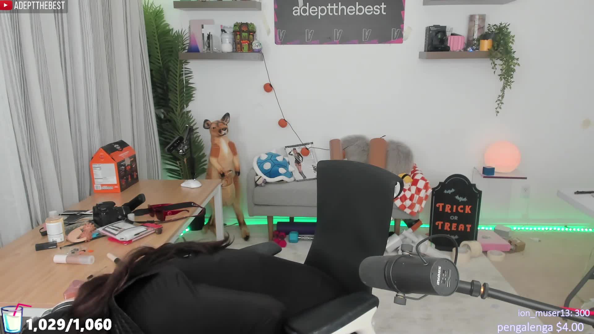 Video 1021254 from Adept