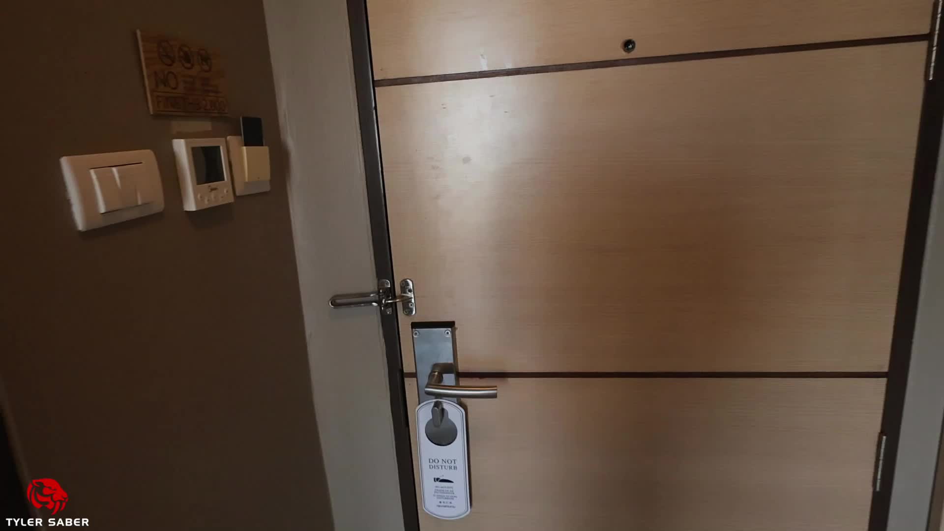 Video 1025888 from Tyler Saber