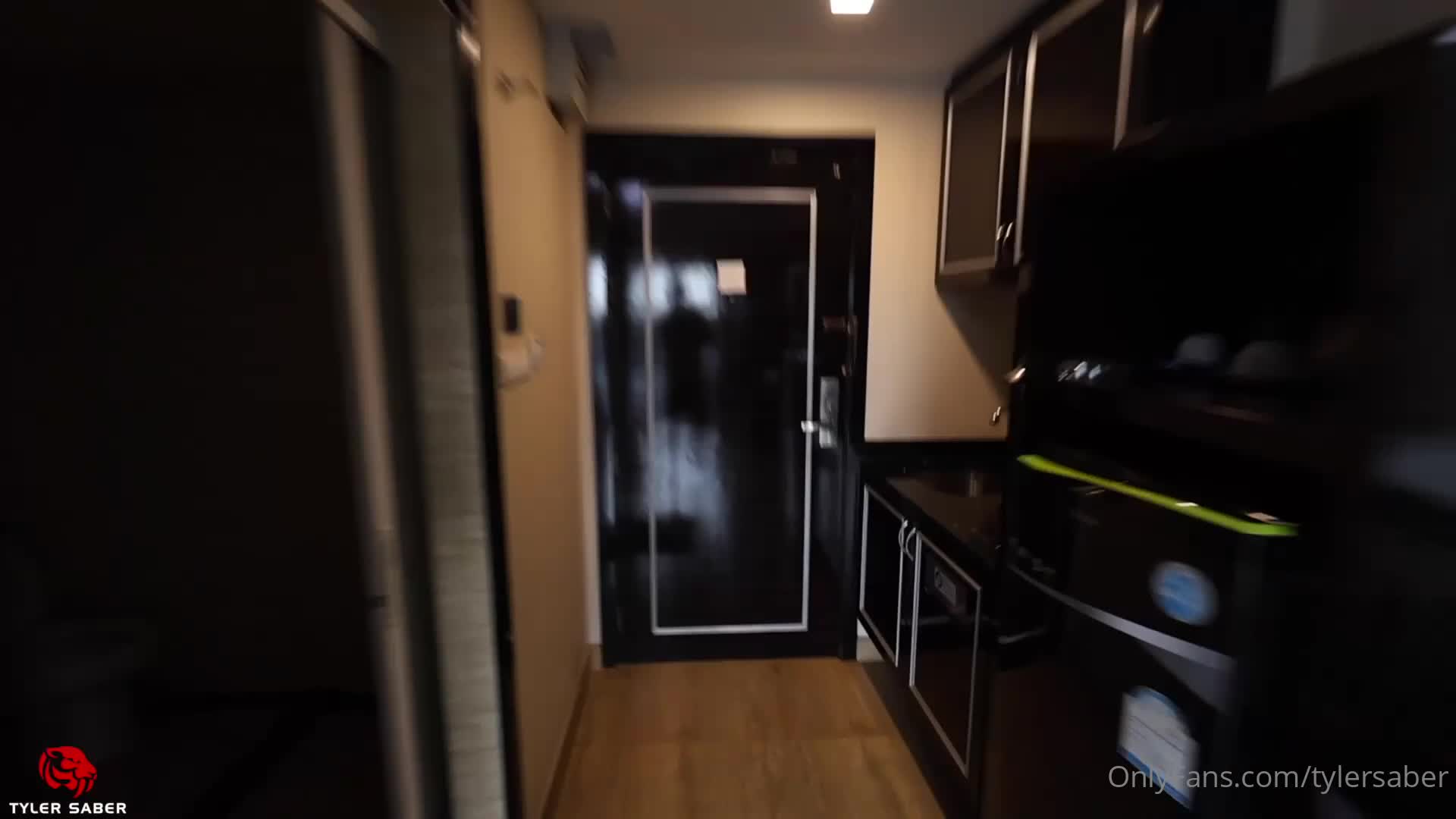 Video 1025913 from Tyler Saber