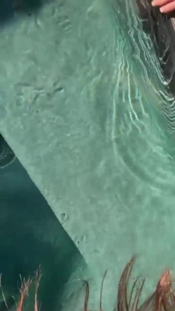 Video 1027323 from Mistress Alexis