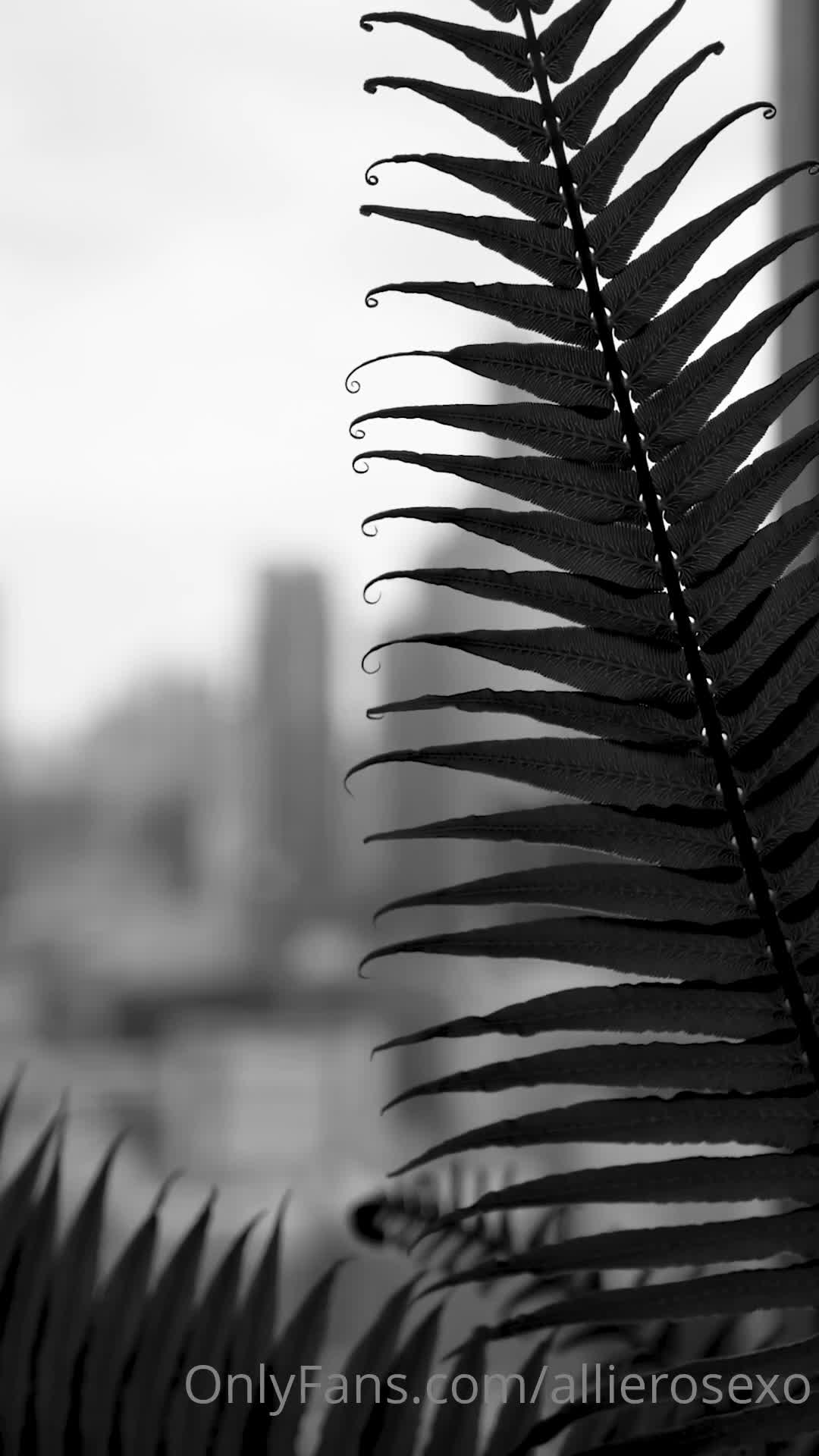 Video 1027554 from Allie Rose | allierosexo