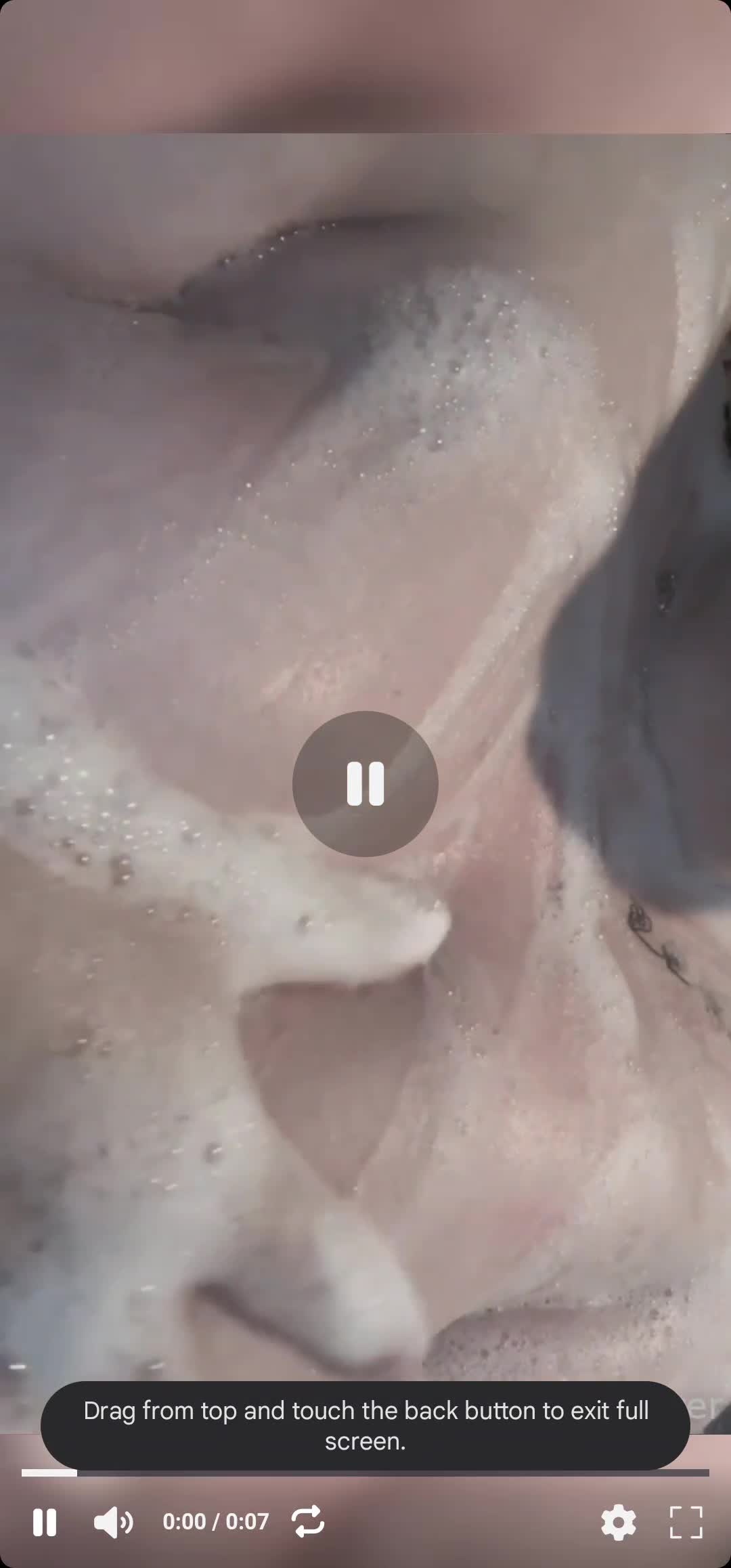 Video 1028457 from Aruna Reaver