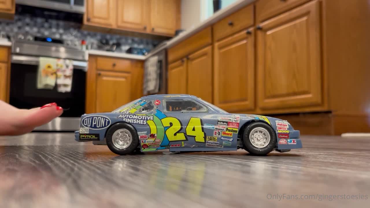 Video 1031228 from Gingerstoesies