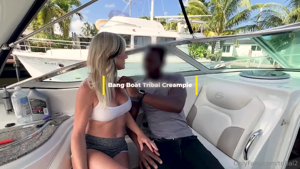Video 1031394 from Tribal BBC | tribalbbc