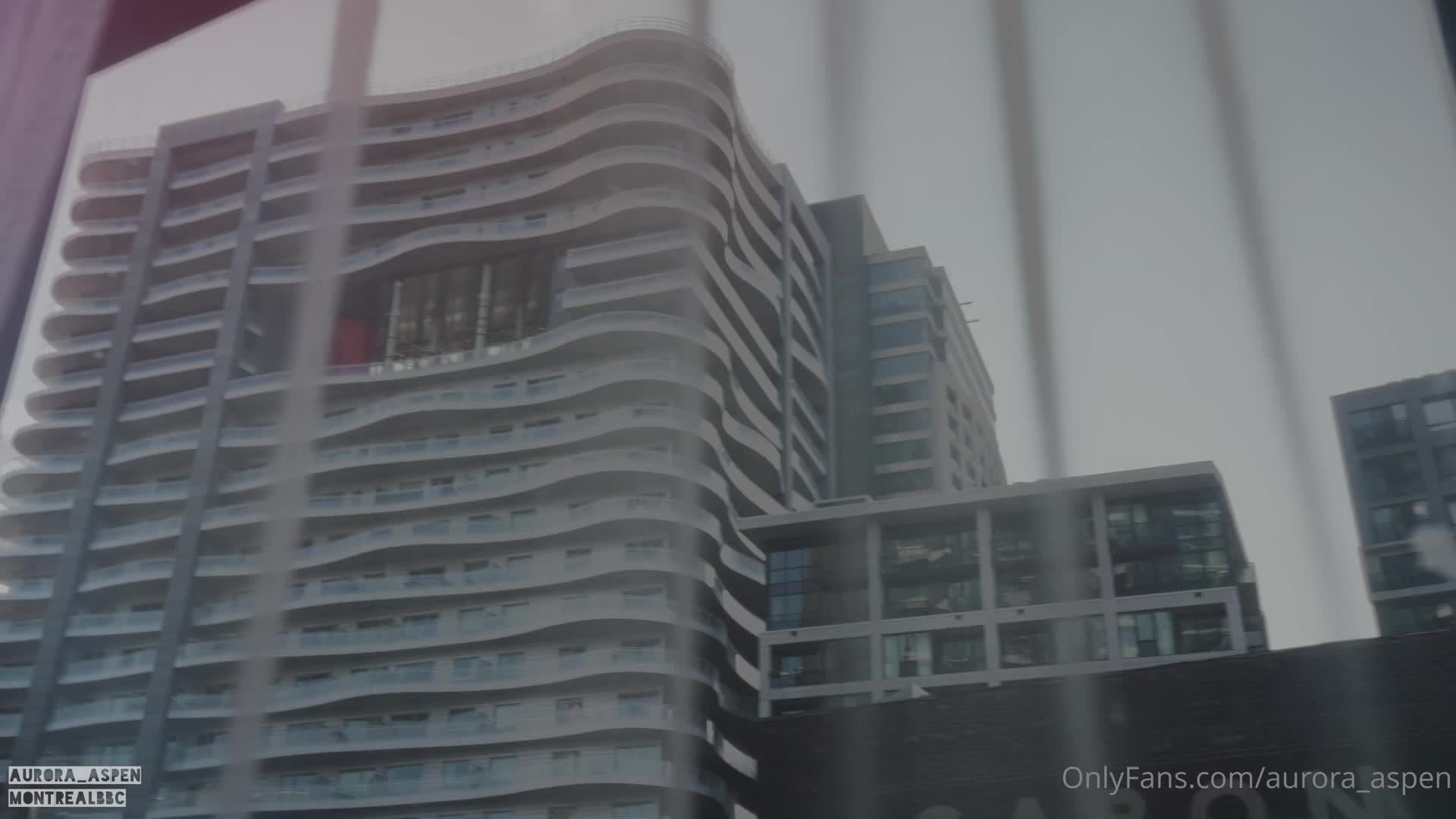 Video 1032939 from aurora_aspen | Aurora Aspen