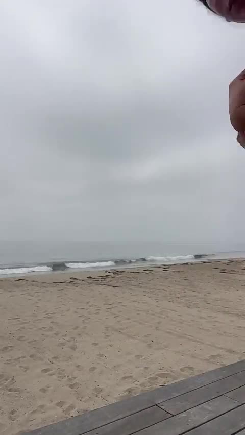 Video 1034178 from Selah Jeffries