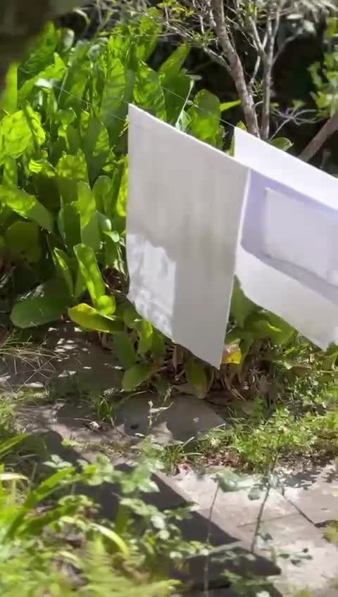 Video 1034201 from Aricia Silva (ex-panicat)