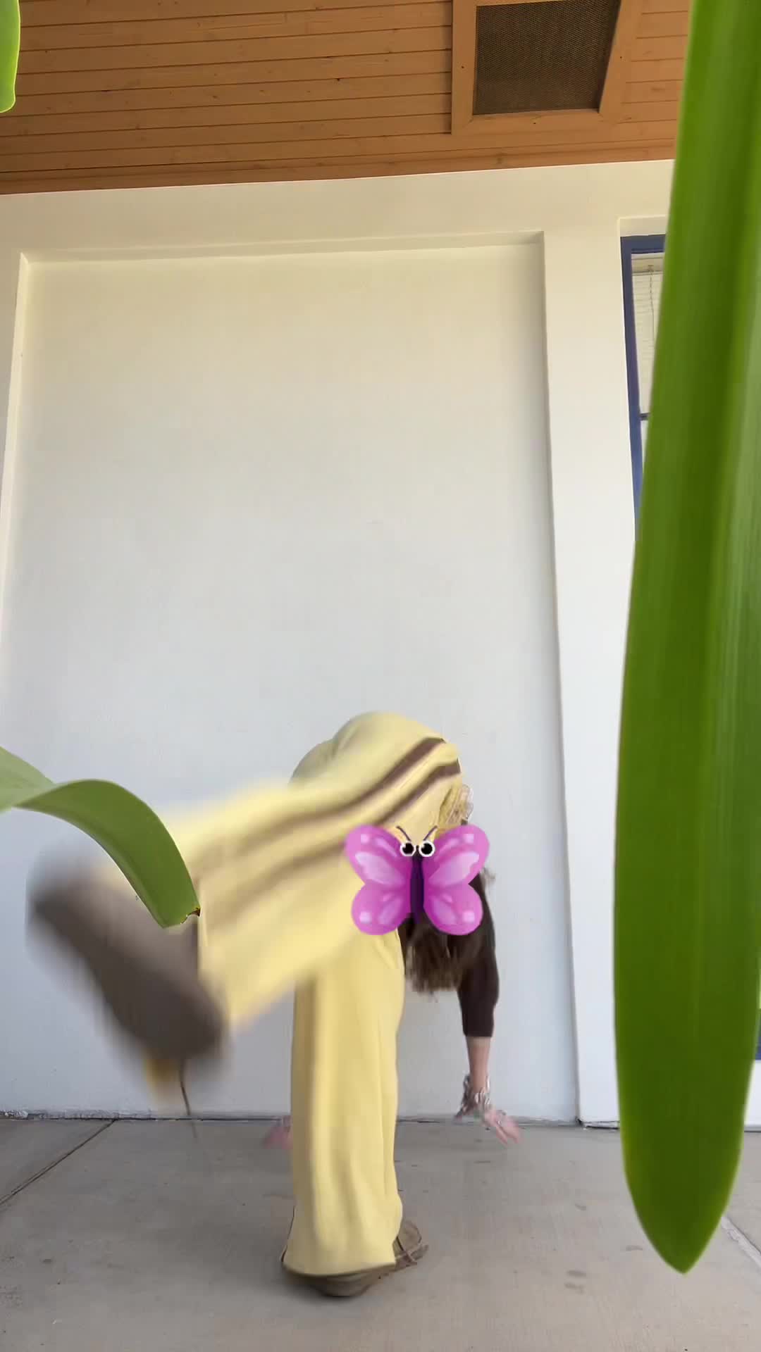 Video 1035842 from Hannah Mccloud