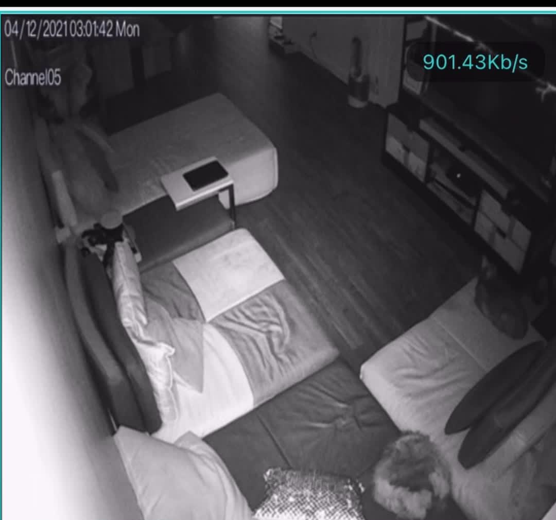 Video 1036117 from TS Emy Lee | TsEmylee69