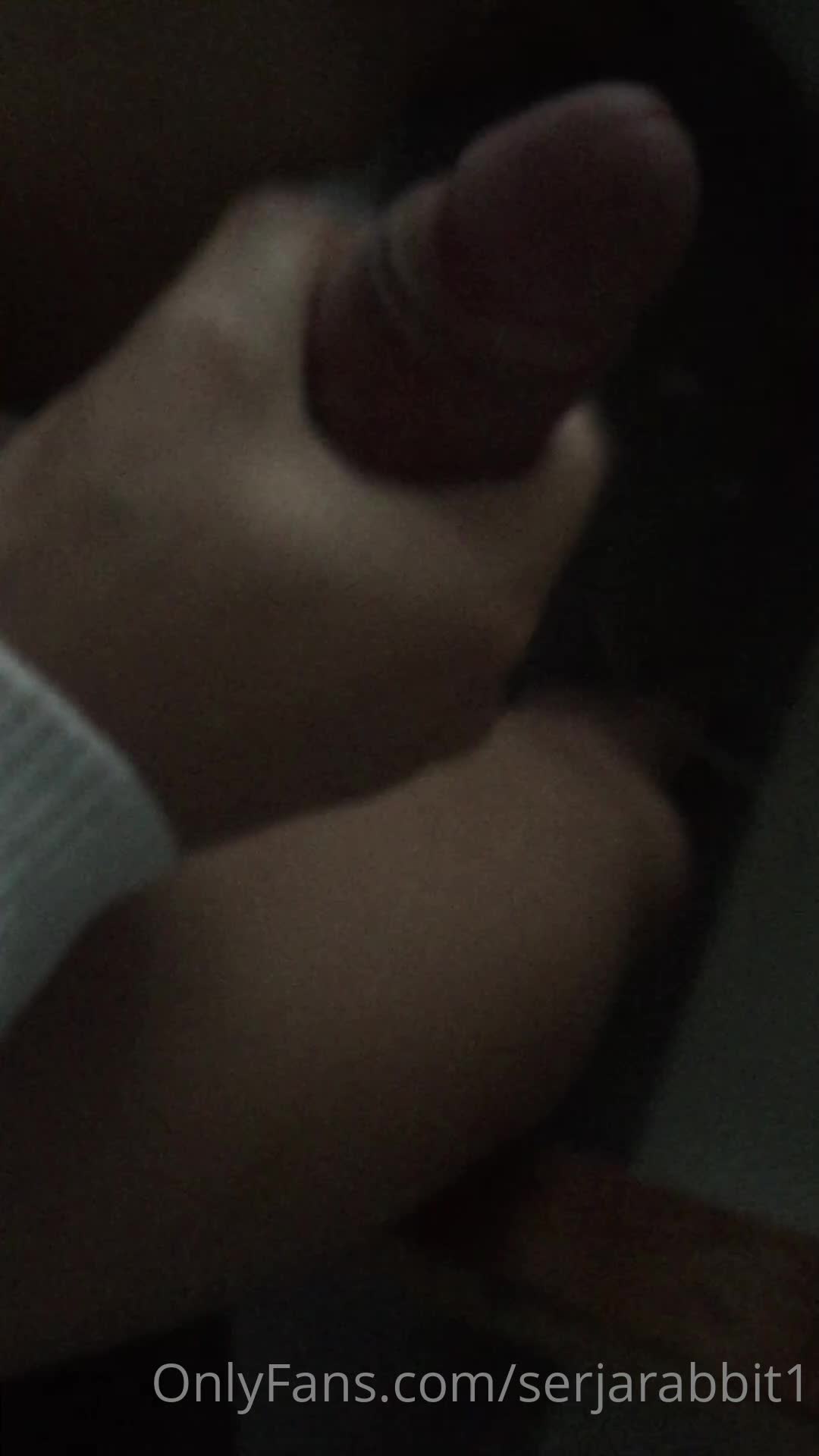 Video 1036168 from serjarabbit