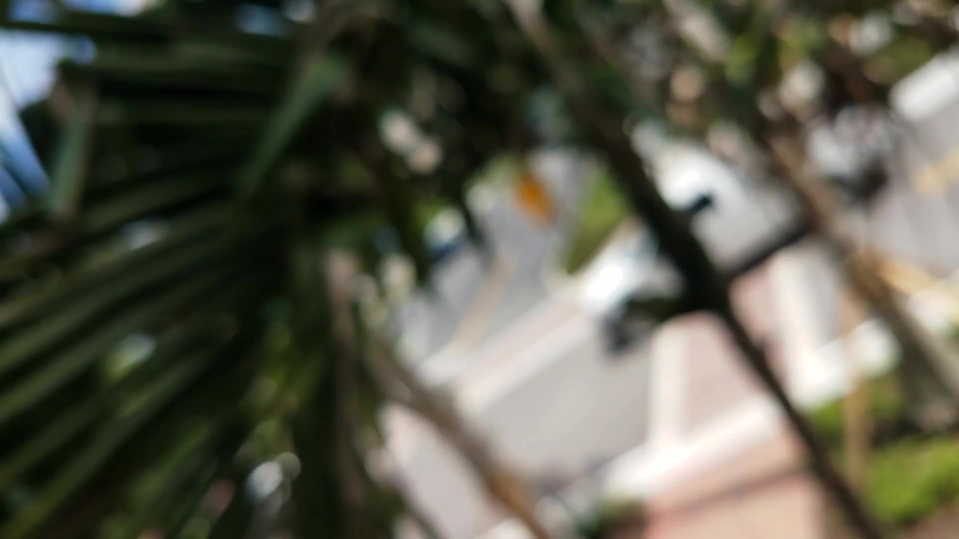 Video 1037771 from Spicy J | SpicyJentertain