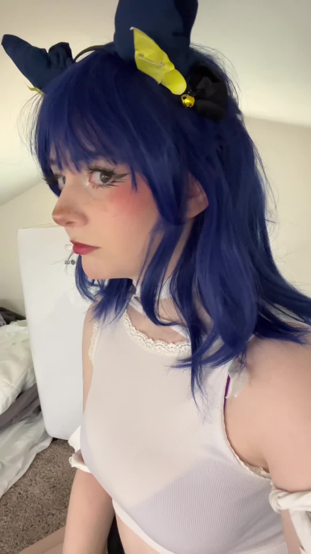 Video 1039227 from shelbypng