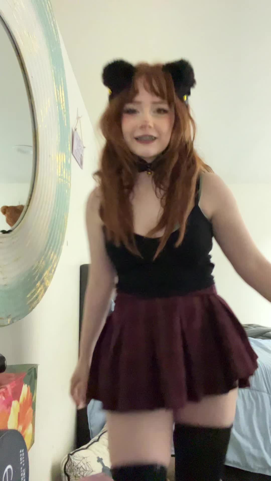 Video 1039236 from shelbypng