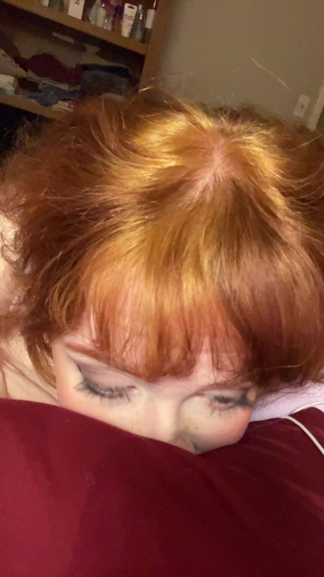 Video 1039765 from shelbypng
