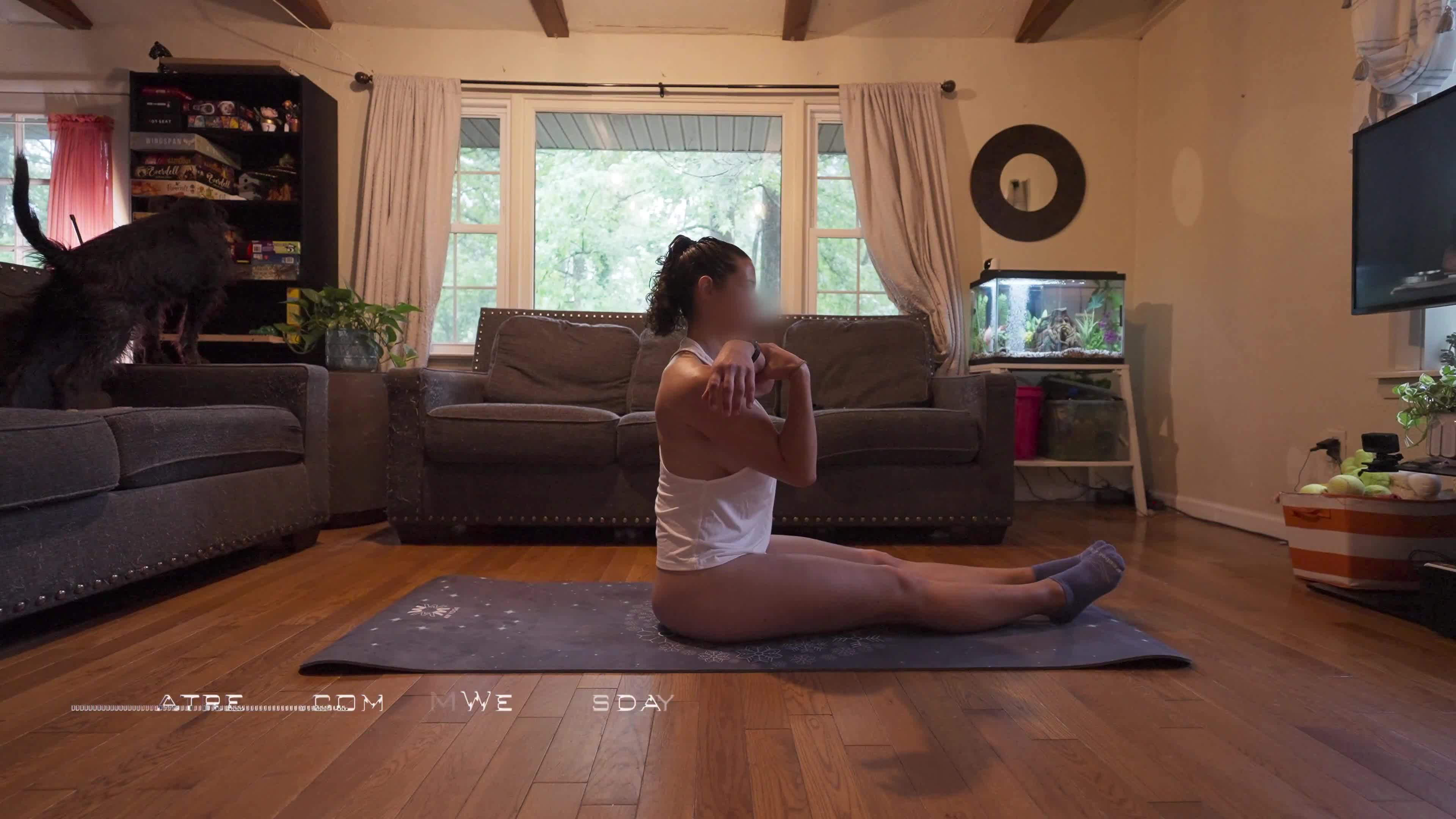 Video 1040091 from AMWednesday