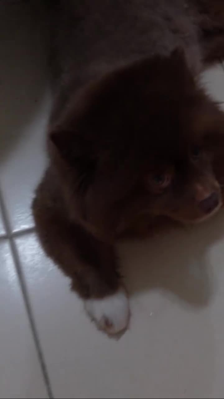 Video 1042750 from Chloe Lockley