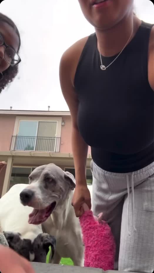 Video 1044264 from sh33natay