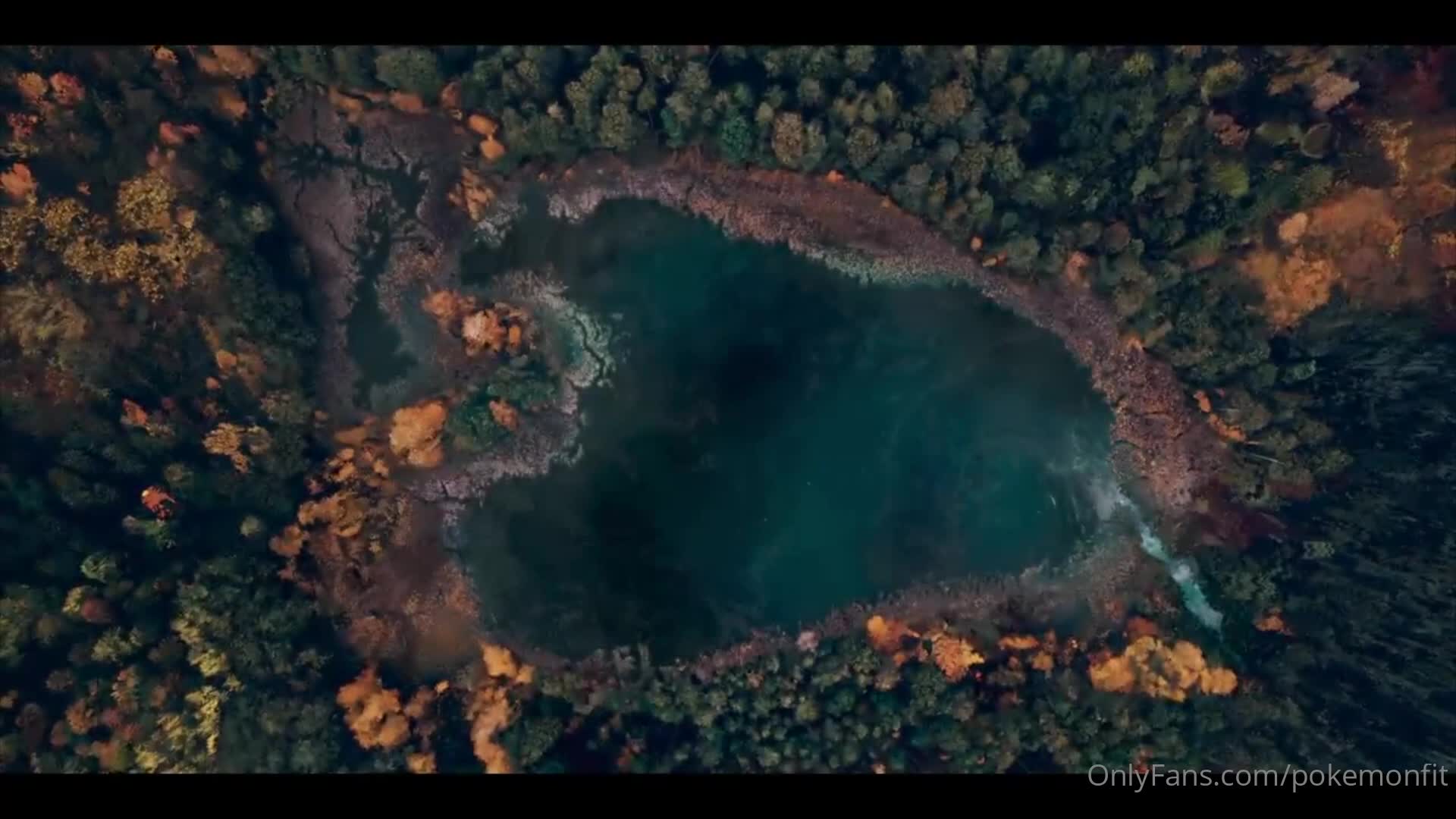 Video 1045366 from Pokemonfit