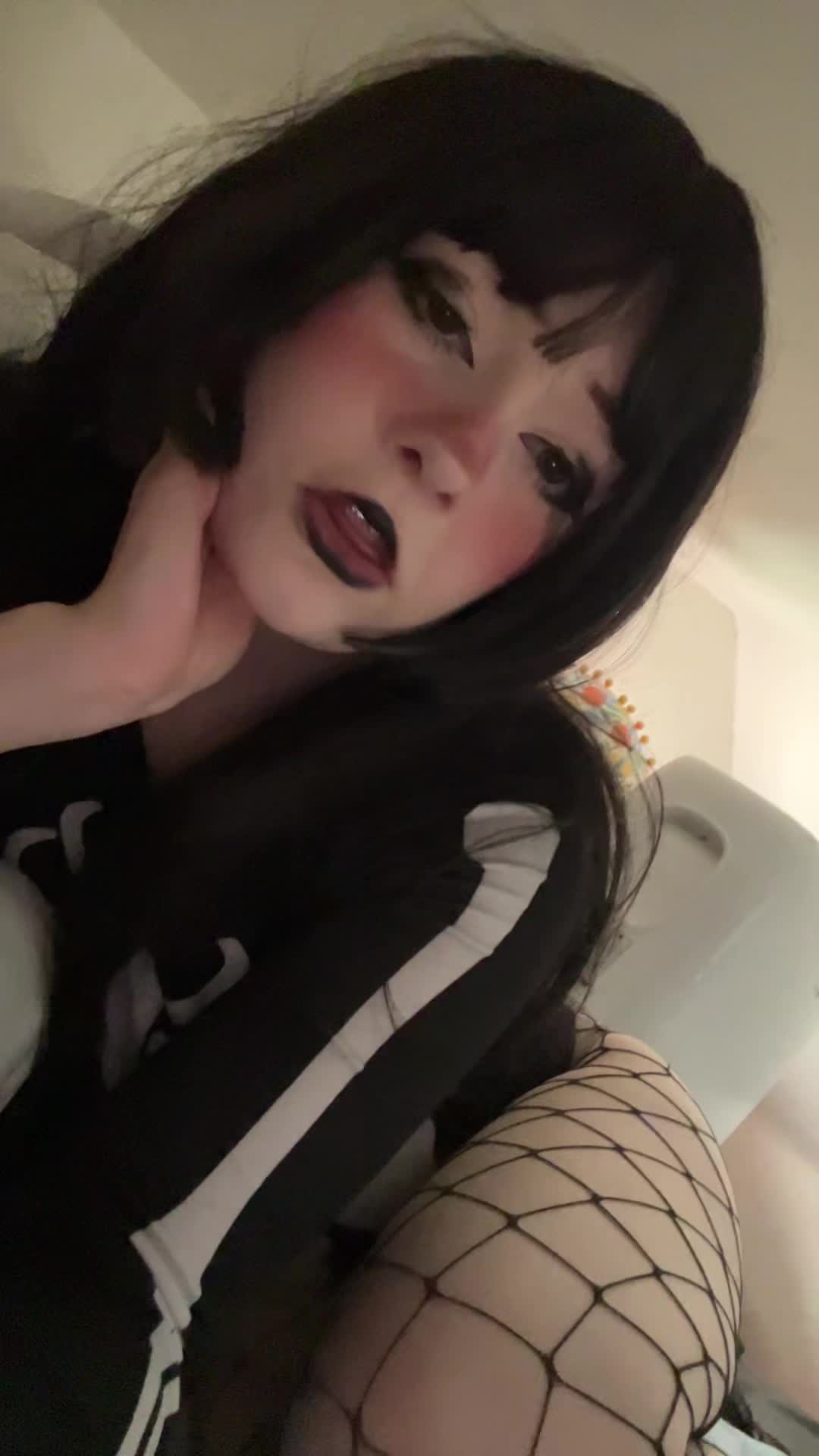 Video 1046141 from shelbypng