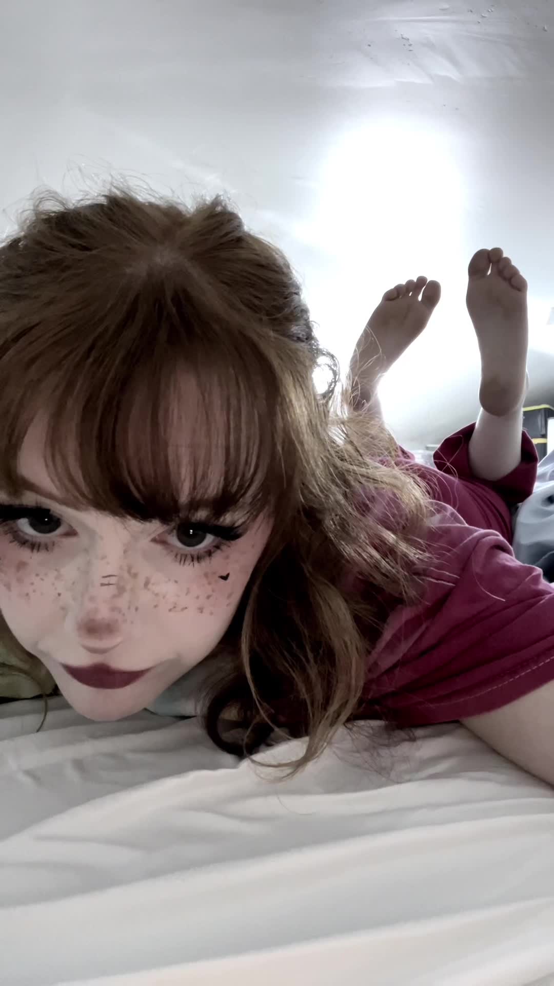 Video 1046149 from shelbypng