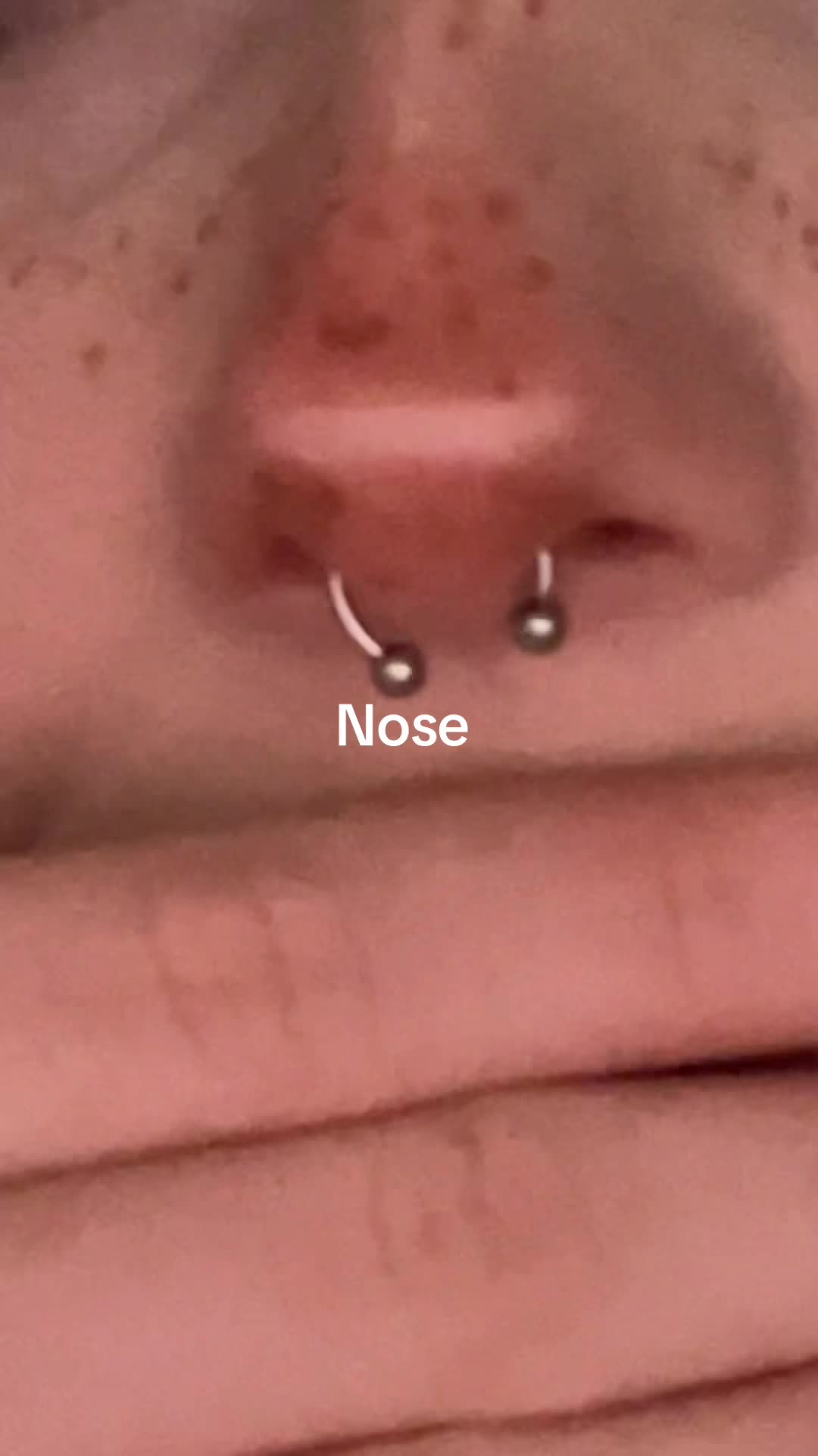 Video 1046212 from shelbypng