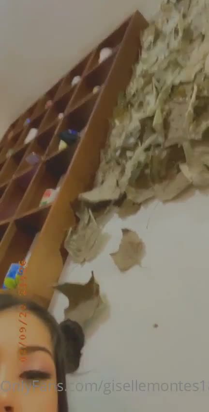 Video 1046440 from Giselle Montes