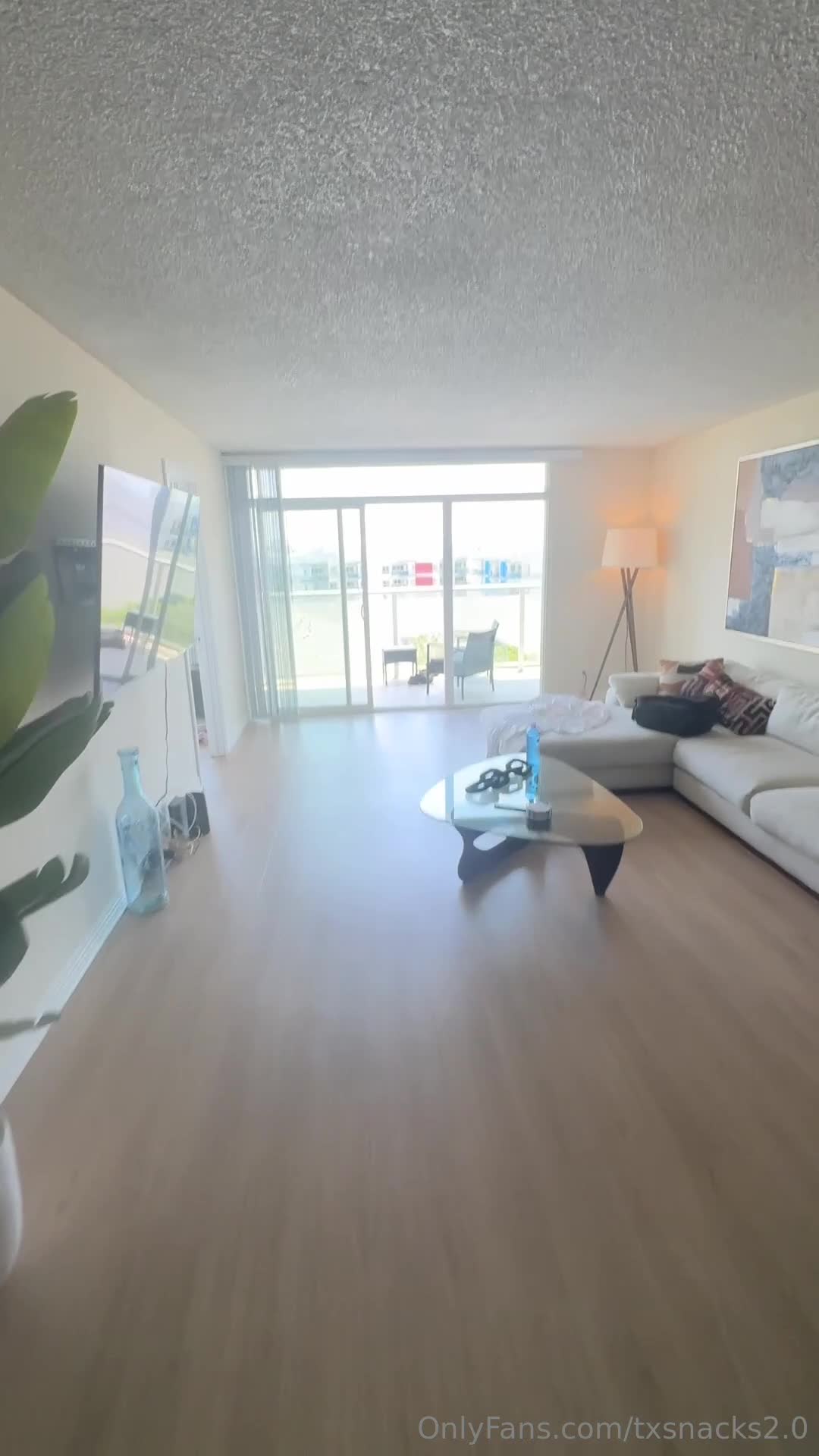 Video 1047125 from txsnacks