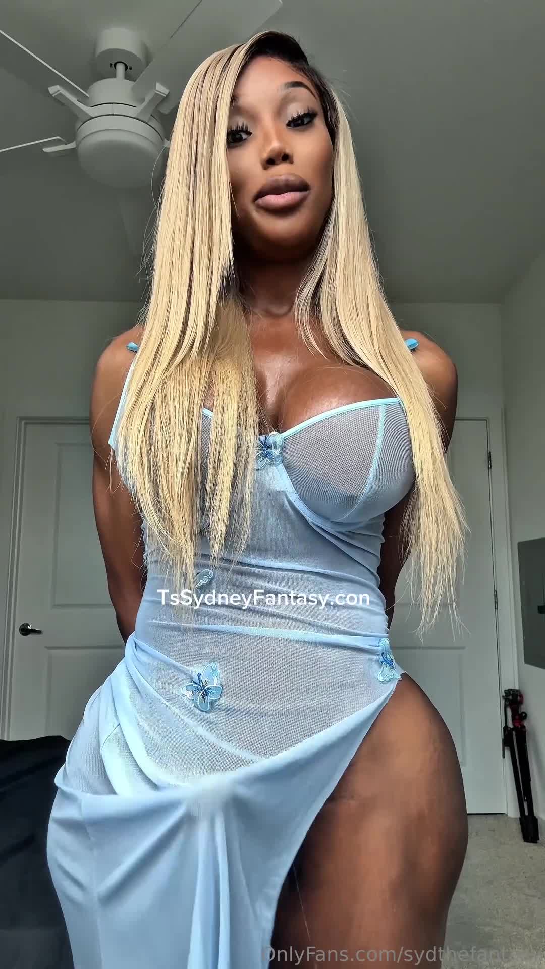 Video 1047883 from Sydney Fantasy | sydthefantasy