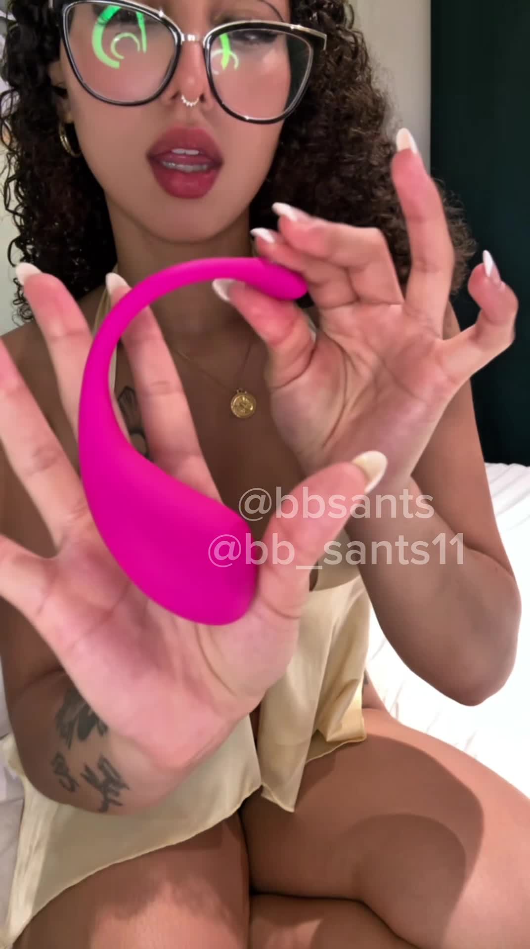 Video 1048033 from bbsants