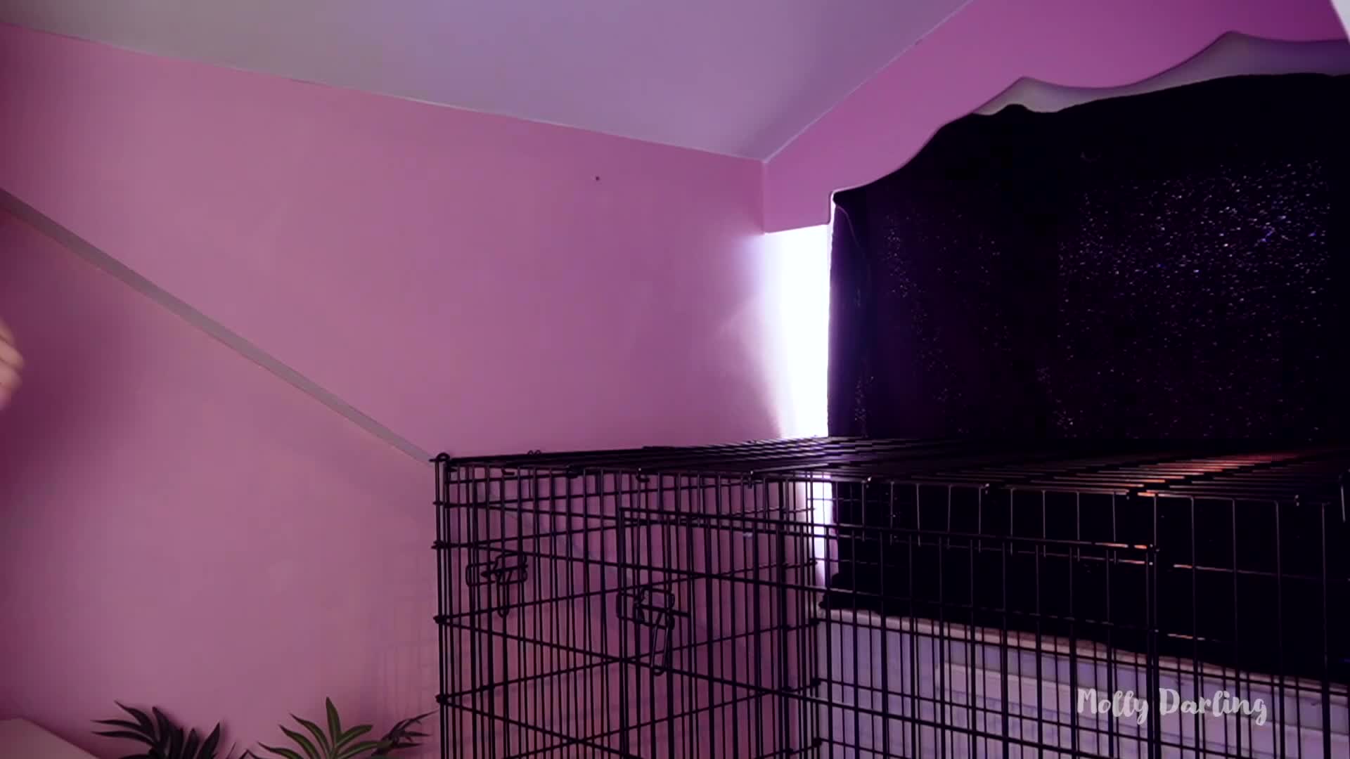 Video 1048361 from Molly Darling