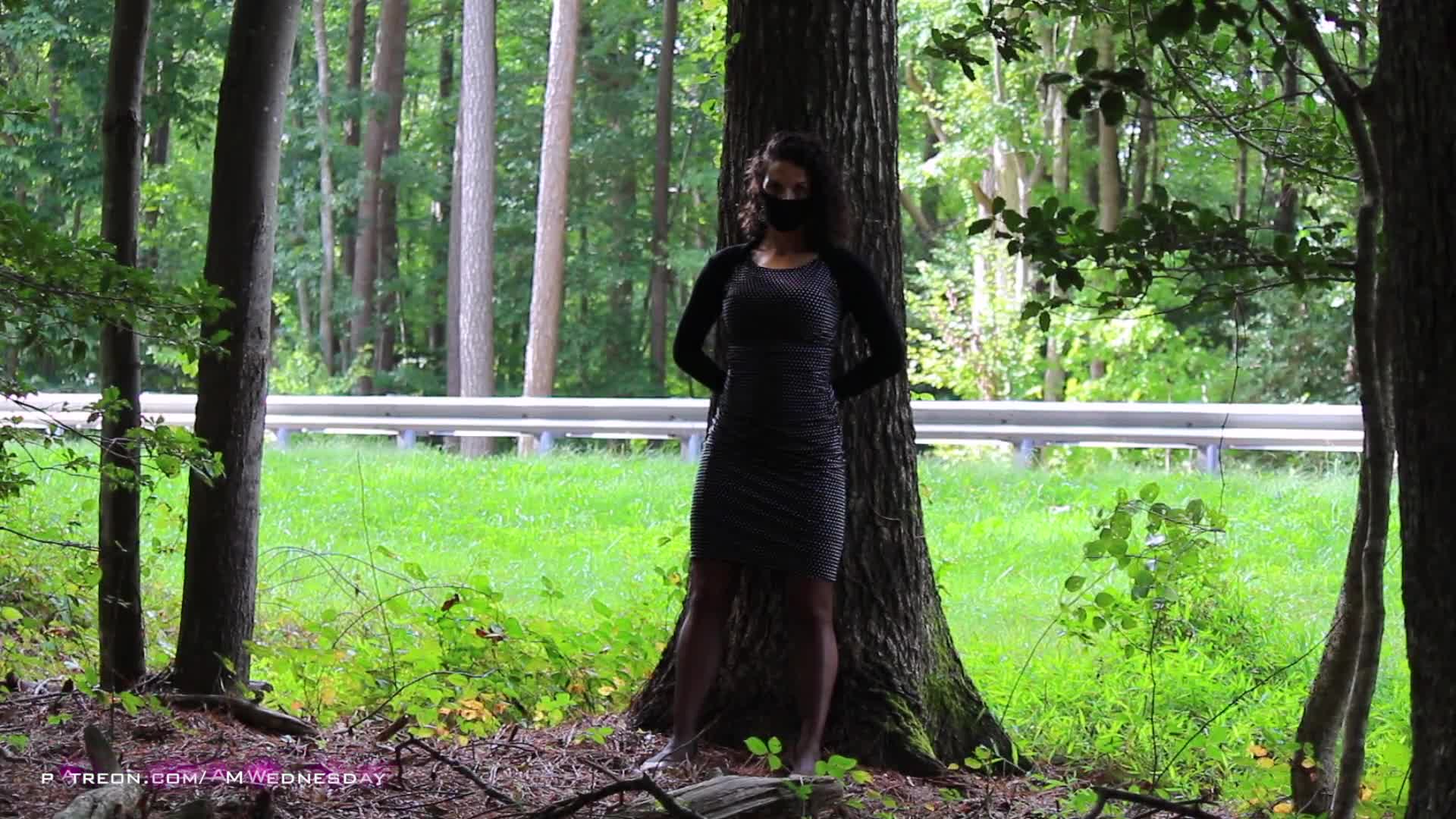 Video 1054392 from AMWednesday