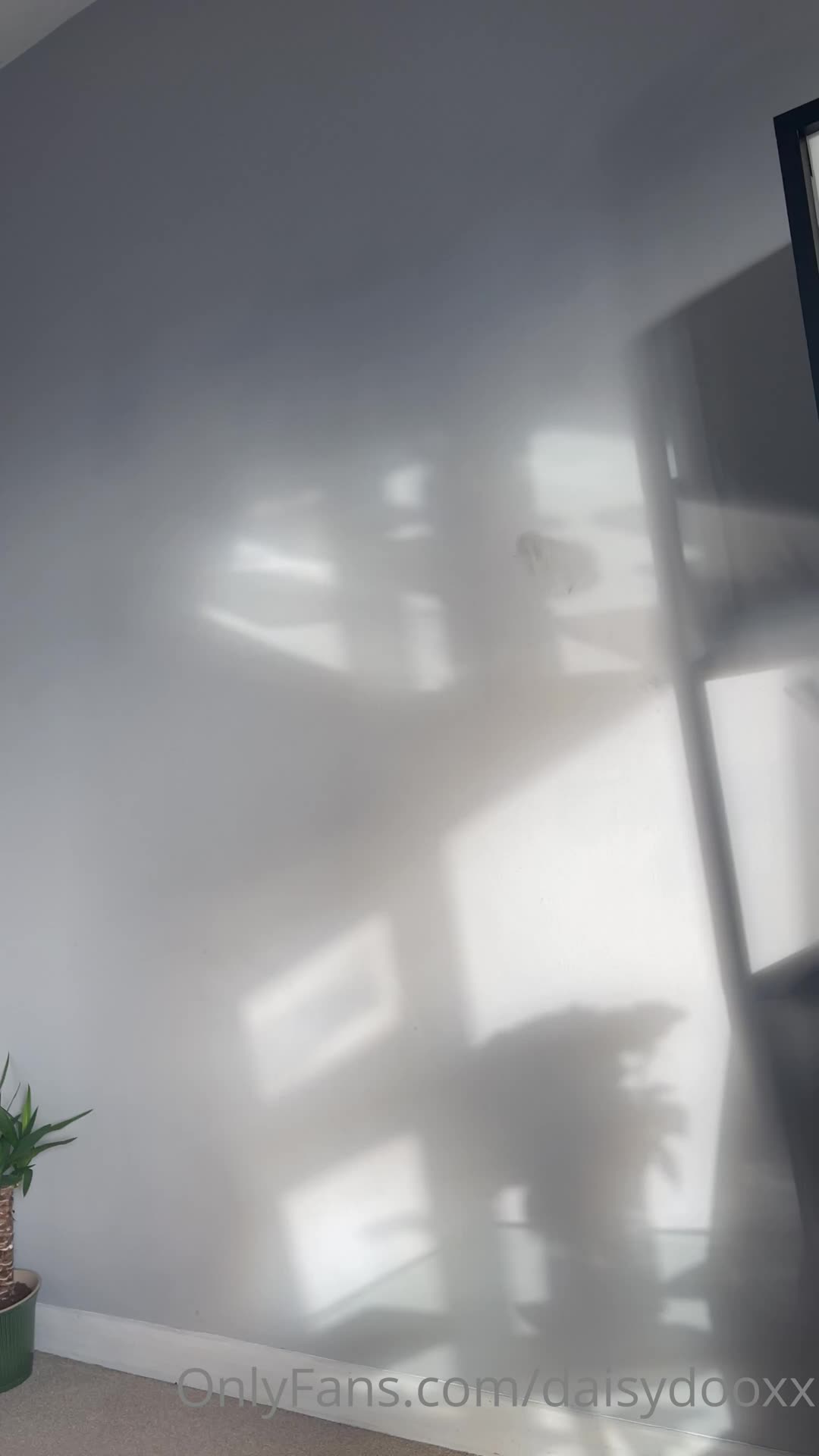 Video 1054411 from Daisy Watts / DaisyDooTaylor / Daisy Taylor