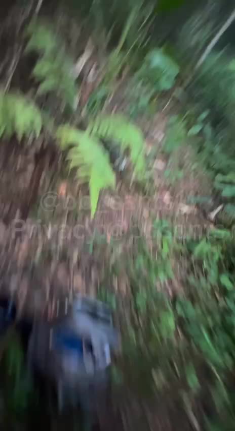 Video 1055196 from bbsants