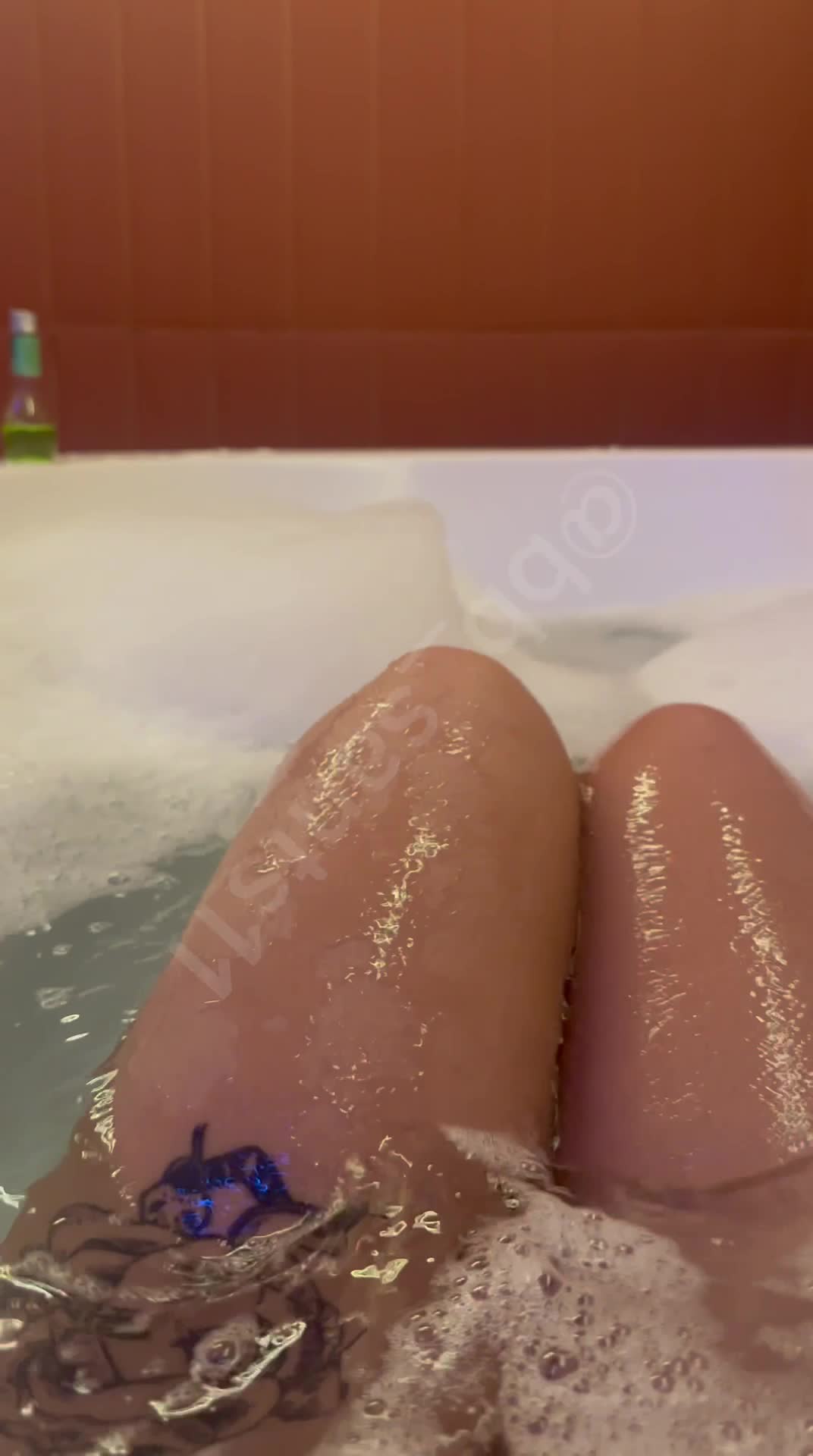 Video 1055200 from bbsants