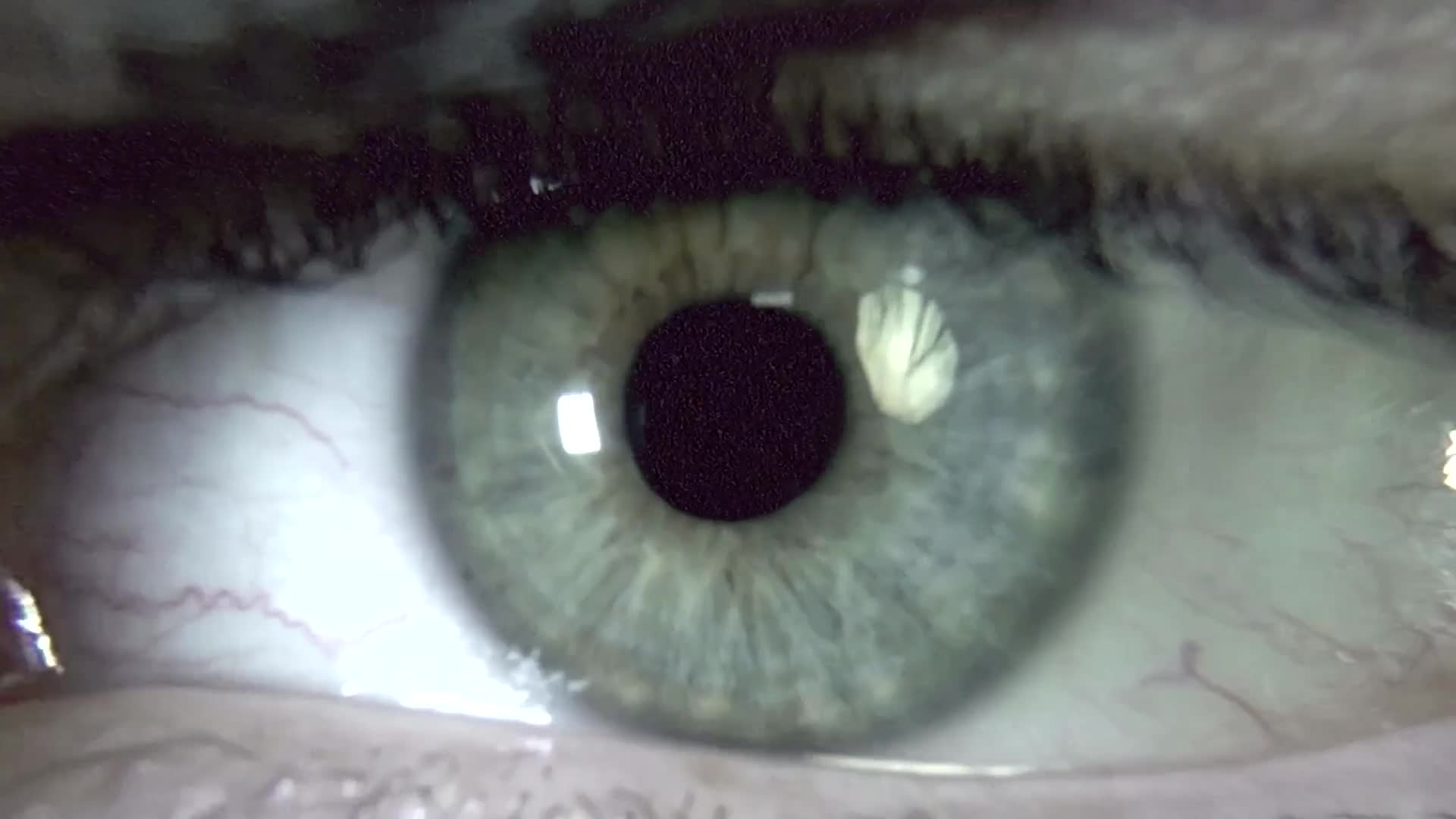 Video 1056719 from Harley Sin