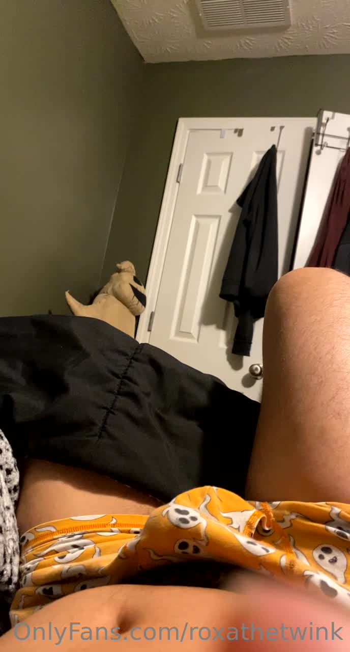 Video 1074317 from roxathetwink