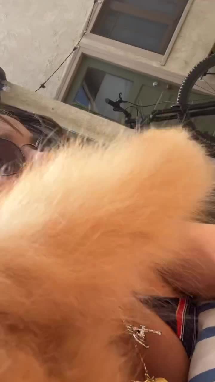 Video 1125517 from Inde Navarrette