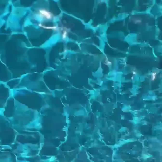 Video 1125522 from Inde Navarrette