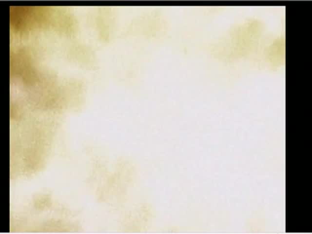 Video 1127531 from Lorena orozco loreorozco0101