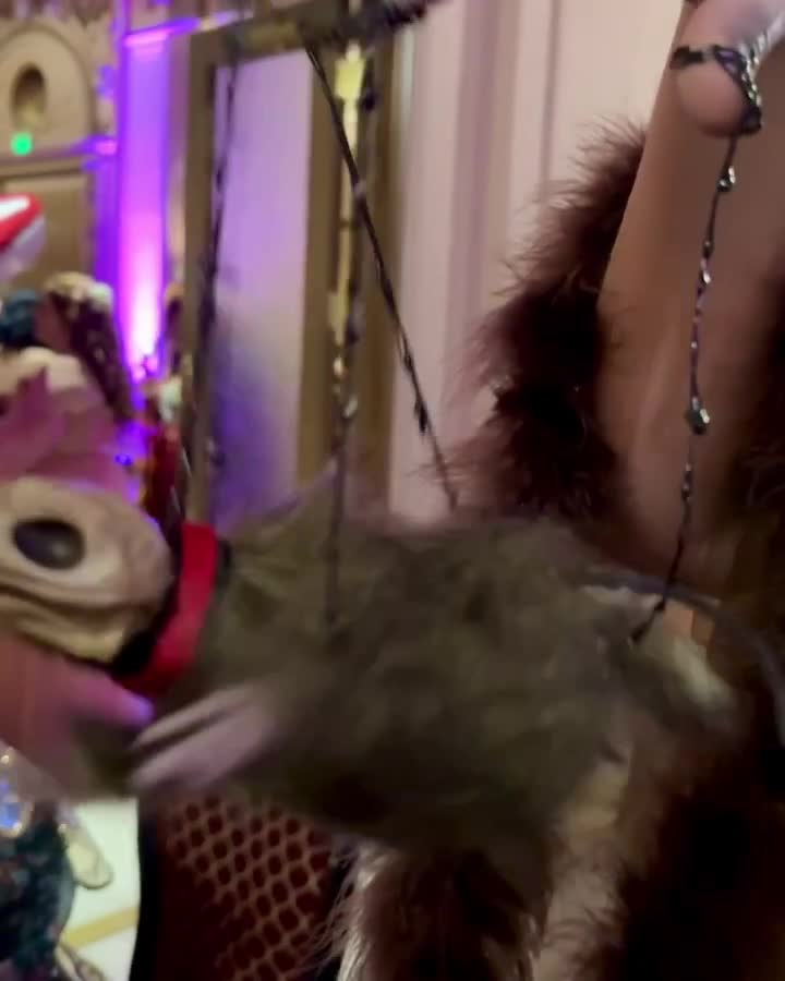 Video 1128768 from Brizzy Voices/Anna Brisbin