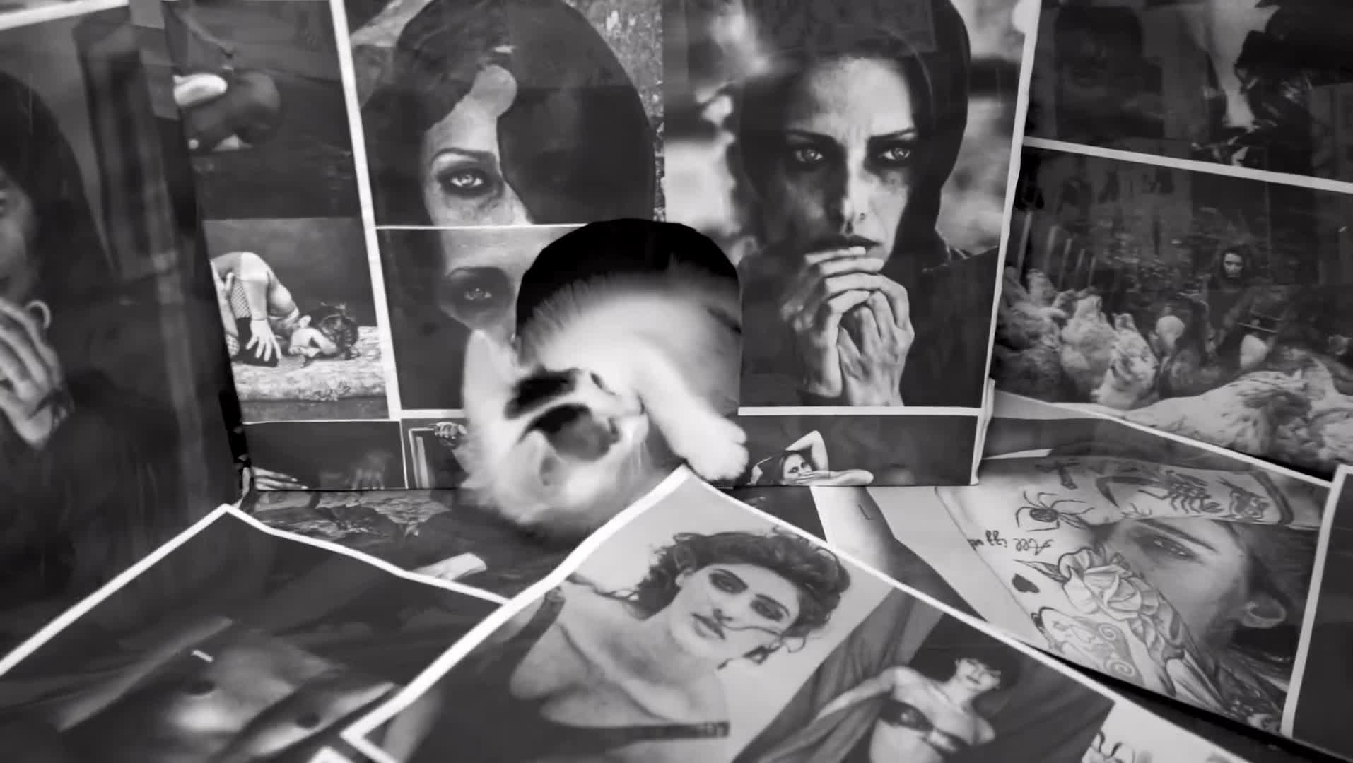 Video 1129394 from Letícia Spiller