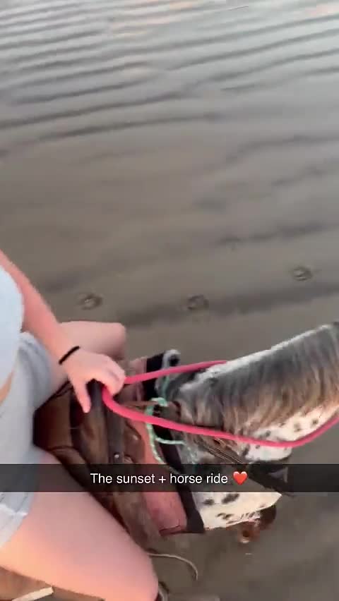 Video 1131147 from Megan McCarthy