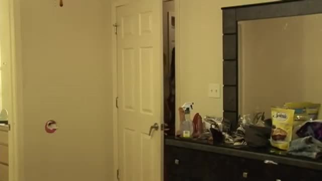 Video 1131617 from Holly Hanna